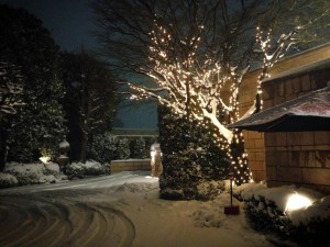 Q.E.D.CLUB　雪の夜景